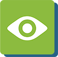 Vision